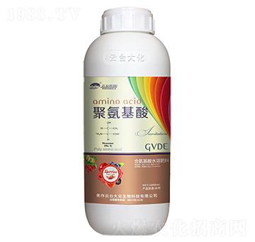 �۰�����-���_(t��i)��