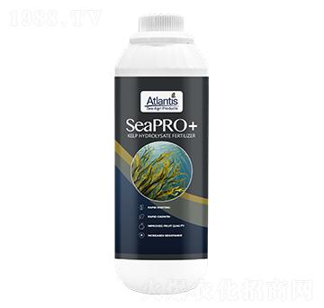 ���塤�O��-�{(l��n)�Kɭ