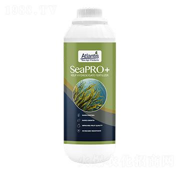 ���塤ԭҺ-�{(l��n)�Kɭ