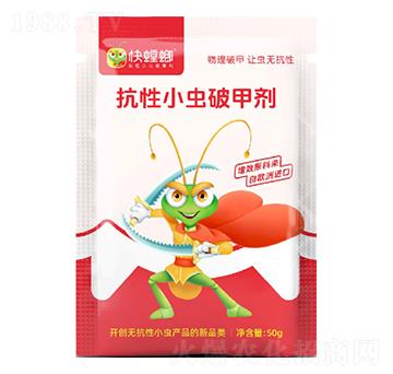 ����С�x(ch��ng)�Ƽׄ�-�����-ϲ��{��