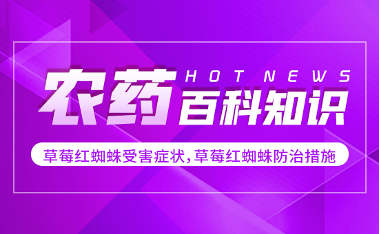 ��ݮ�t֩���ܺ��Y������ݮ�t֩����δ�ʩ