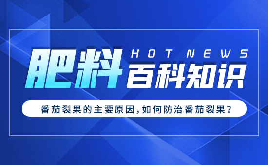 �����ѹ�����Ҫԭ������η��η����ѹ���