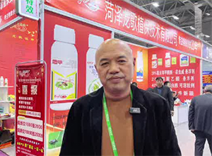 【龍歌植?！孔Ｔ复蠹荫R年大吉、龍馬精神！