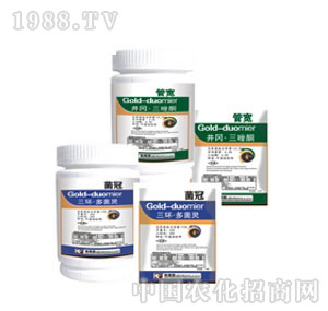 �W��ɭ-����-�܌�