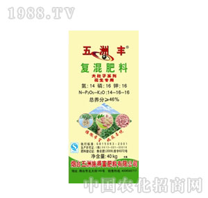 �����S-����ӻ����Ï�(f��)���