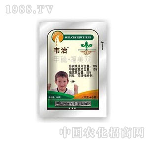 ����-�f��