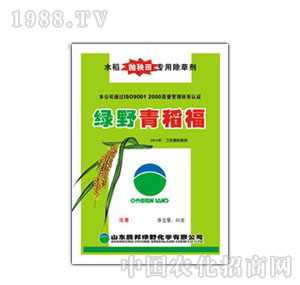 �ٰ�GҰ-�ൾ���ɝ��Էۄ�