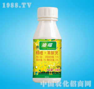 �ٰ�-17.5%�͸�