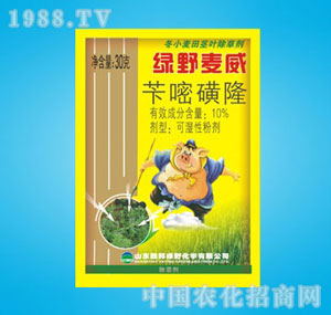 �ٰ�-����