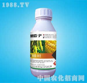 �ٰ�-������