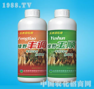 �ٰ�-�S�{���