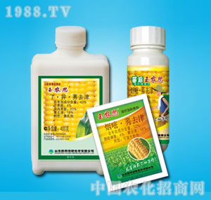 �ٰ�-���r˼