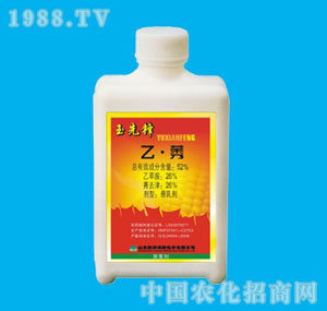 �ٰ�-52%�����h