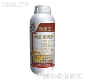 ��@-�ſ���