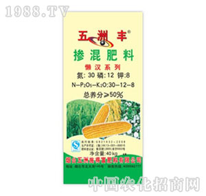 �����S-50%�������