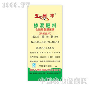 �����S-55%�������