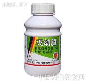 �G��-20%������Ҹ���