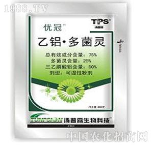 ����ˎ�I(y��)-��(y��u)��