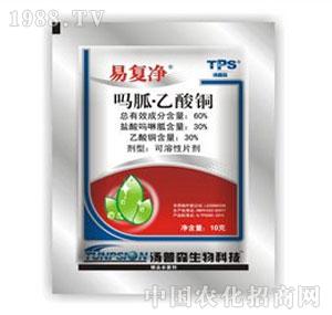 ����ˎ�I(y��)-�׏̓�