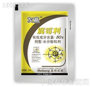 ����ˎ�I(y��)-���A